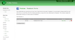 Facebook Forms